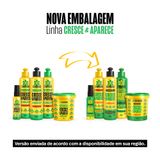 Novo layout Cresce e Aparece.